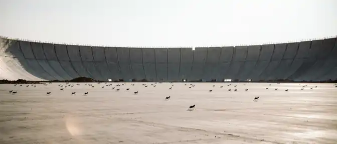 Технологический гигант в Техасе: Илон Маск готовит строительство самого дорогого объекта в истории